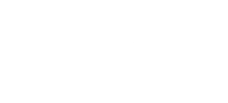 Bruce Wildlife Photography