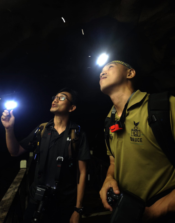 Photography Tours